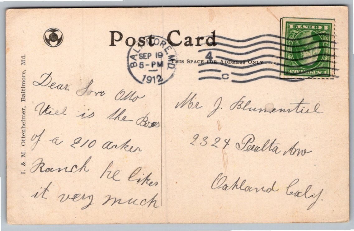 Vintage Continental Building Baltimore MD 1912 Postcard - Back / Reverse View