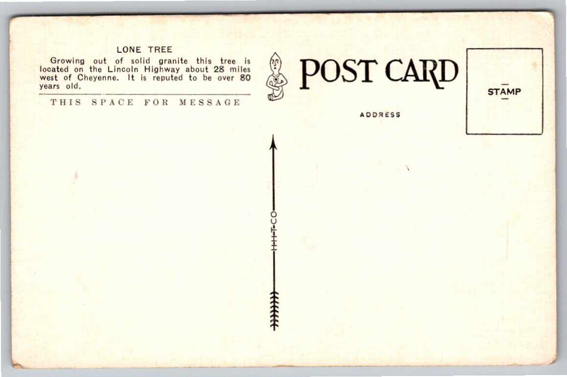 1930s Tree in Rock Lincoln Highway Postcard Sherman Hill Wyoming - Back / Reverse View