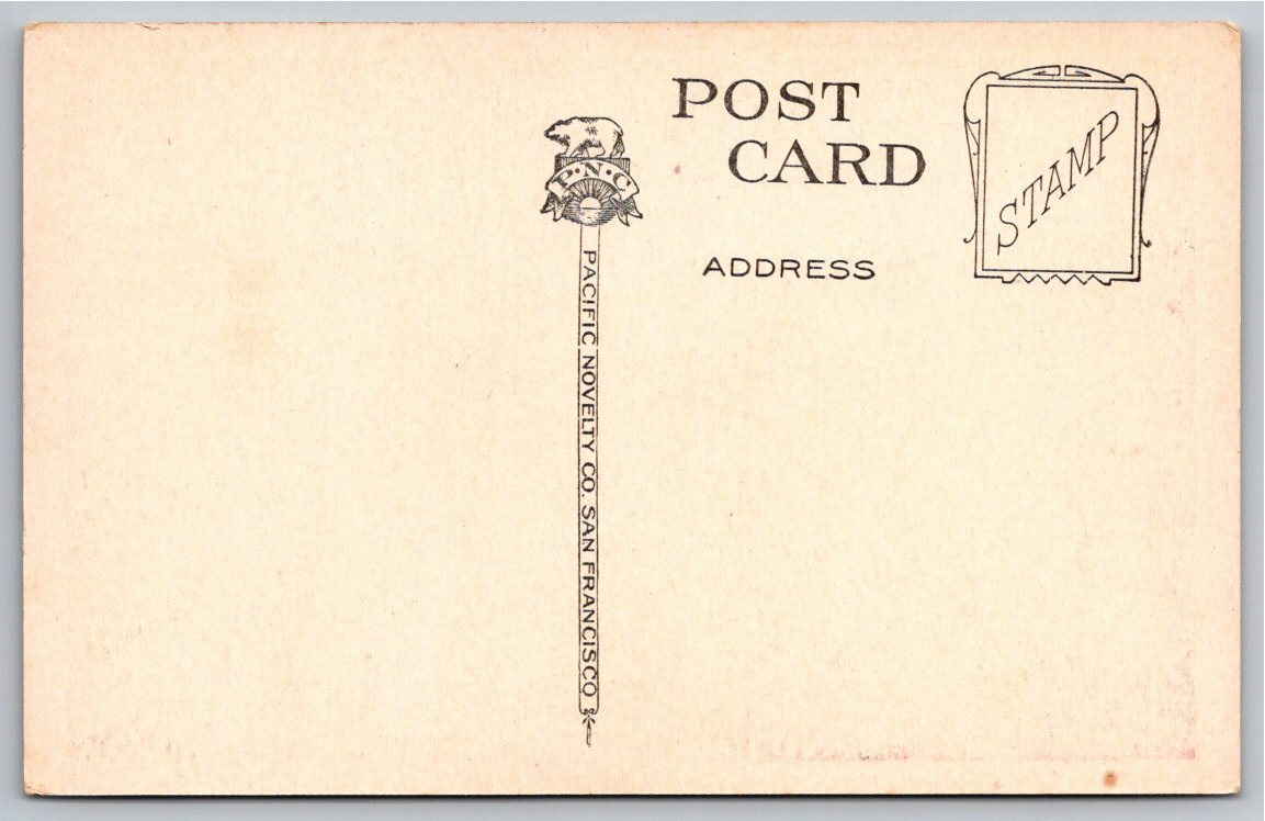 1910s California Scenic Highway Postcard by Pacific Novelty Co - Back / Reverse View