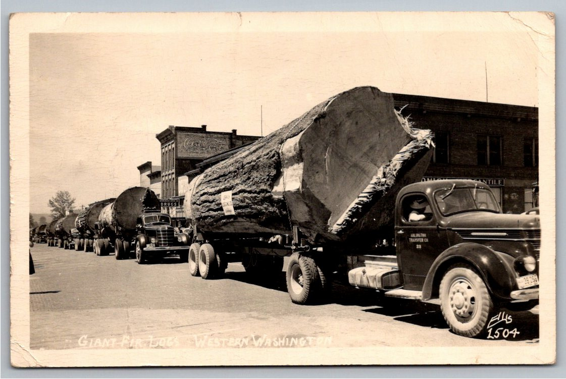 1948 Giant Fir Logs Vintage RPPC Postcard: Western Washington