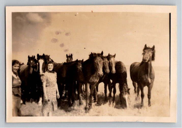 Vintage 1940s South Dakota Ranch Snapshot: Women & Horse Herd