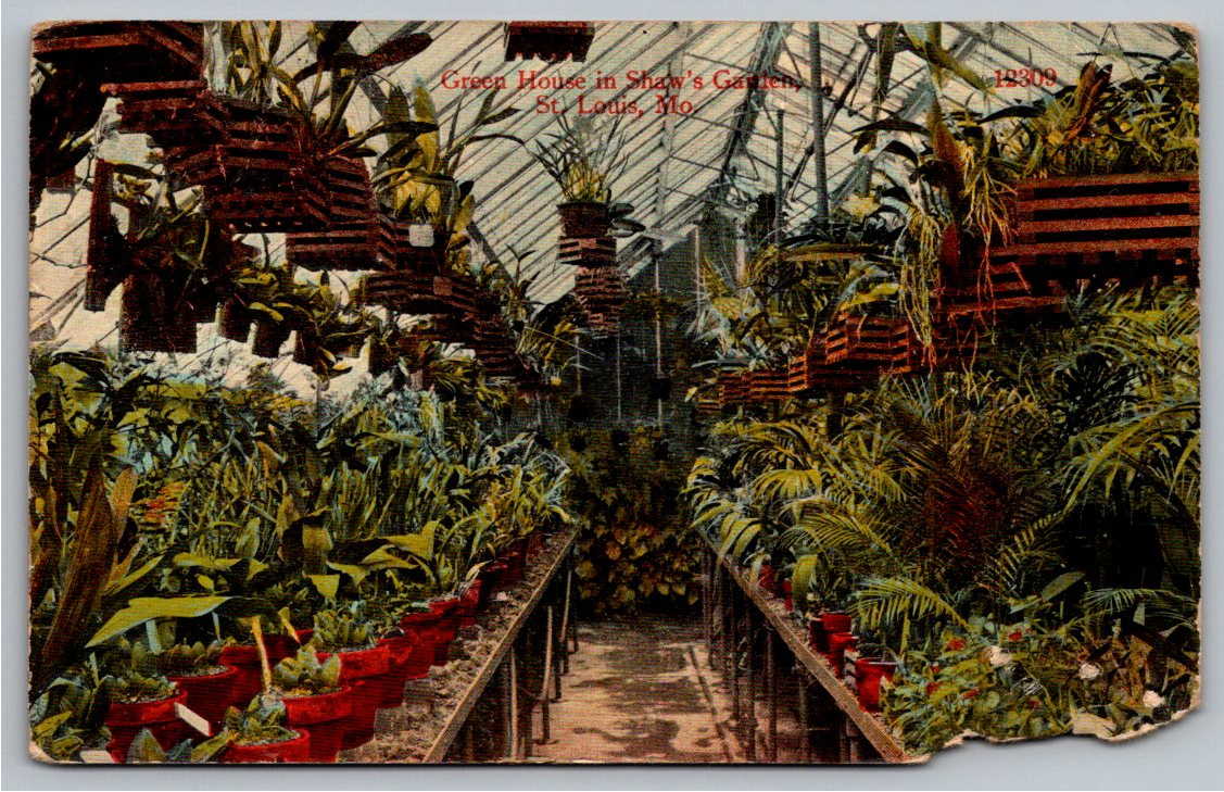 Vintage 1900s Shaw's Garden Greenhouse St. Louis Missouri
