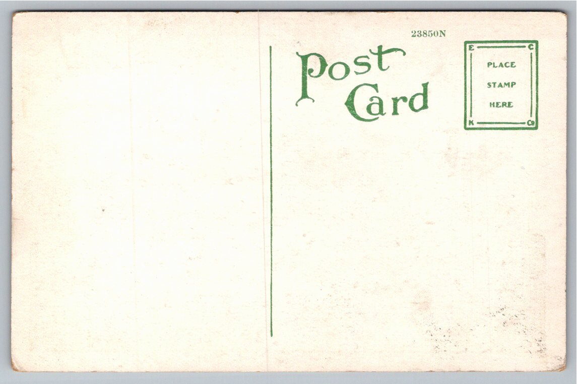 Vintage Delgado Museum of Art Postcard | New Orleans City Park - Back / Reverse View