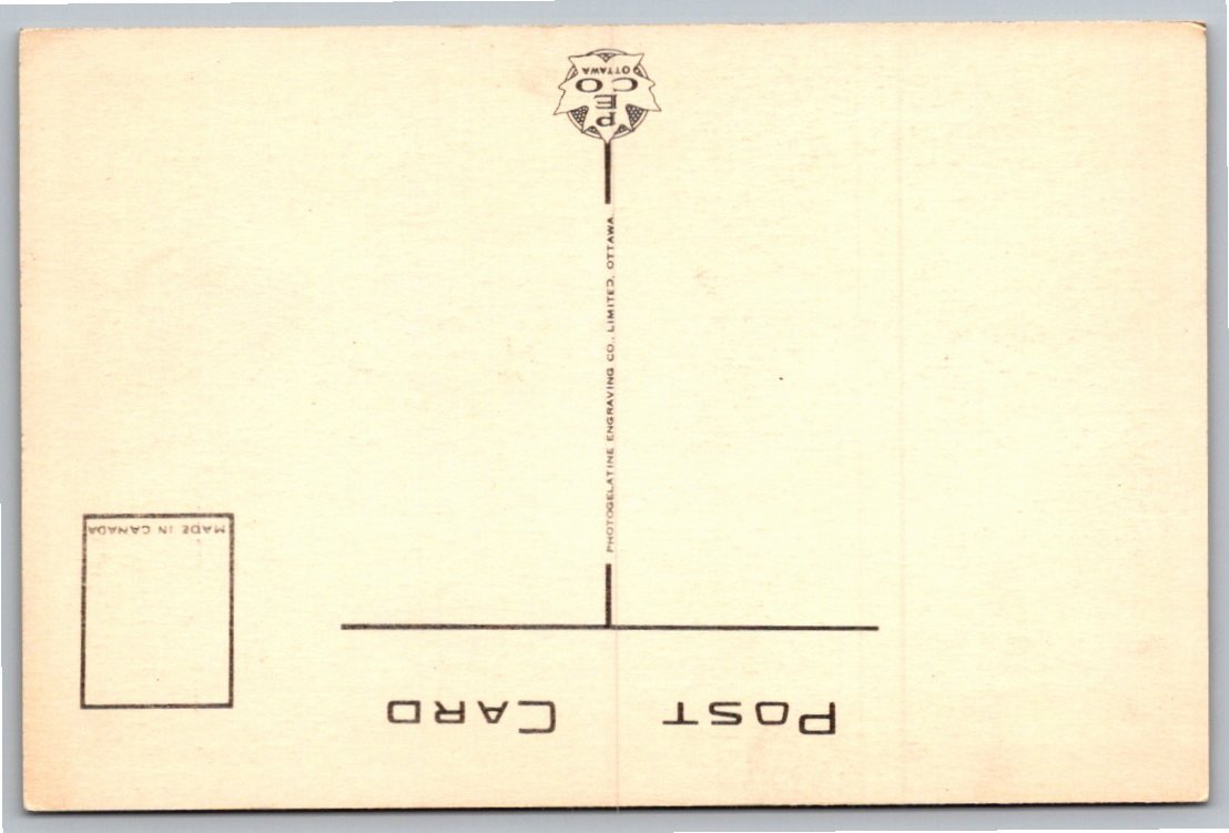 Vintage Niagara Falls Winter Postcard: American Falls PECO #31 - Back / Reverse View