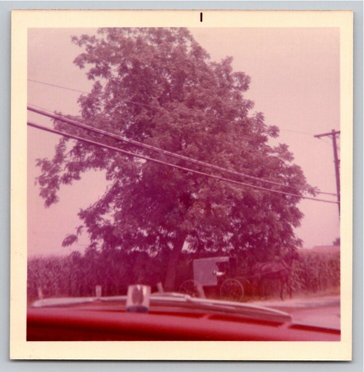 1971 Lancaster PA Amish Buggy Color Photos: Bird-in-Hand Views