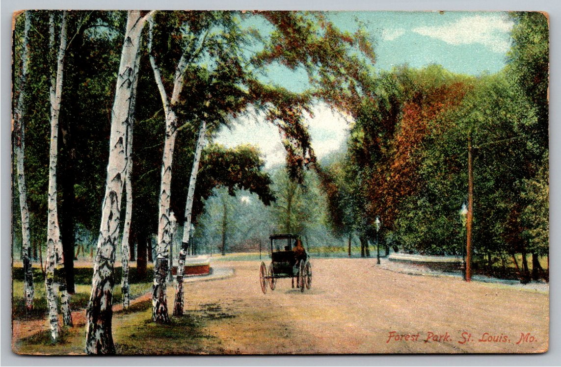 1908 Forest Park St. Louis MO Horse Carriage Litho-Chrome