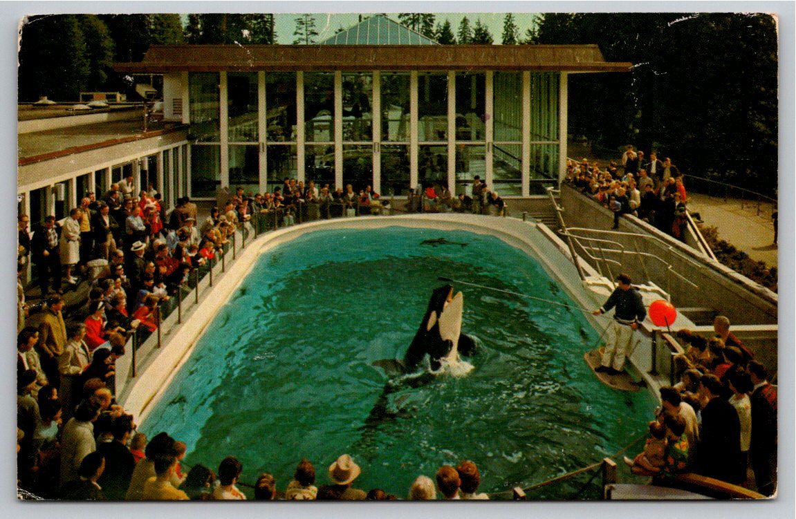 Vintage Vancouver BC Postcard: Skana Orca Stanley Park Aquarium