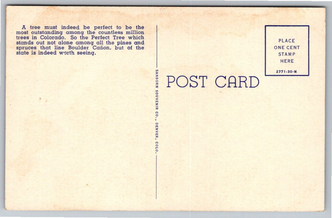 Vintage 1930 Boulder Canyon Colorado Perfect Tree Postcard - Back / Reverse View