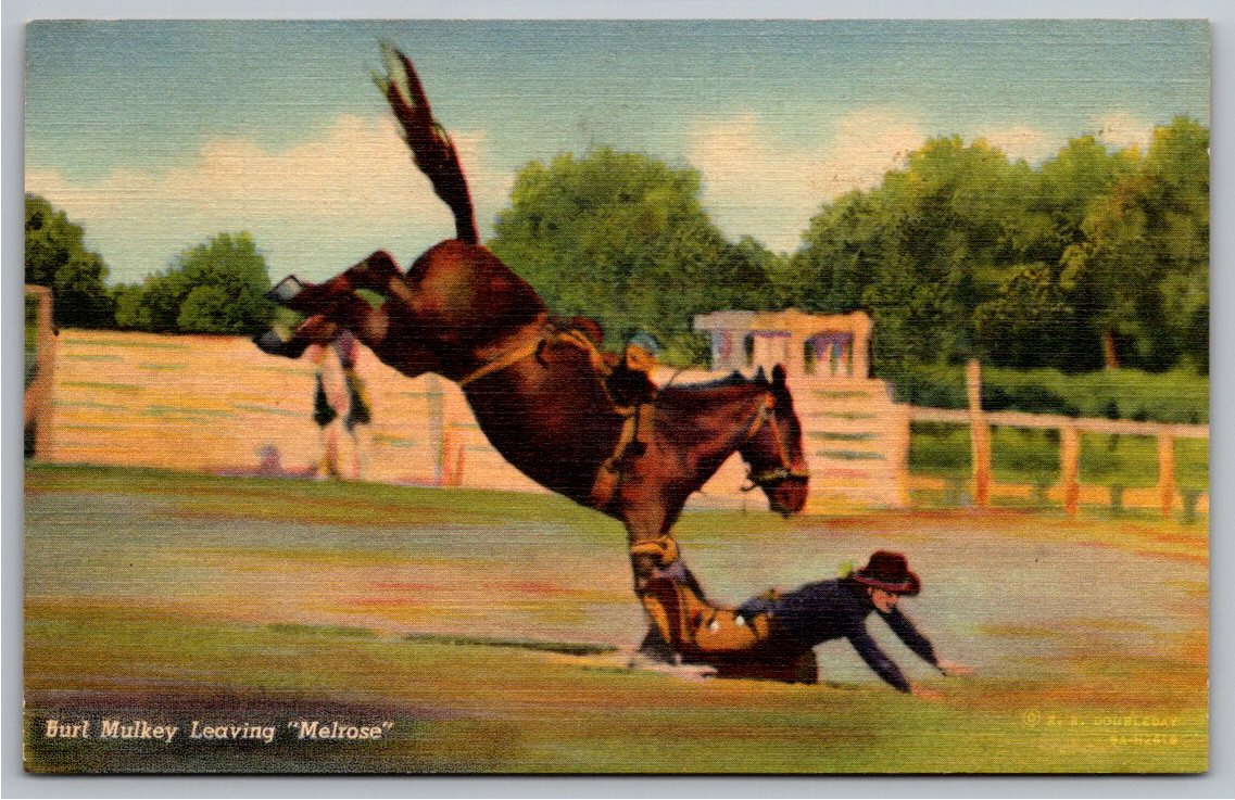 1935 Burl Mulkey Rodeo Cowboy Bucking Bronc Horse Linen Postcard