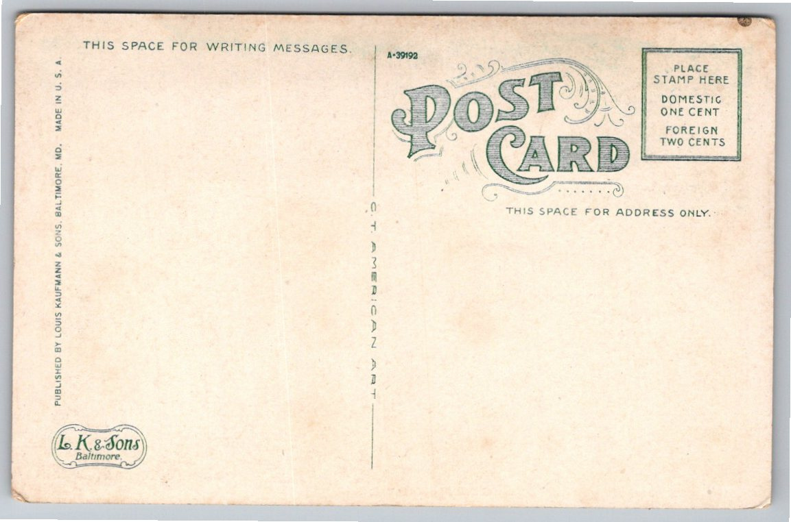 Antique c1910 Newport News Virginia Steamships Dry Dock Postcard - Back / Reverse View