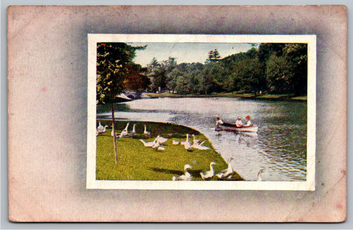 1911 St. Louis Park Scene Vintage Postcard | Rowboat & Ducks