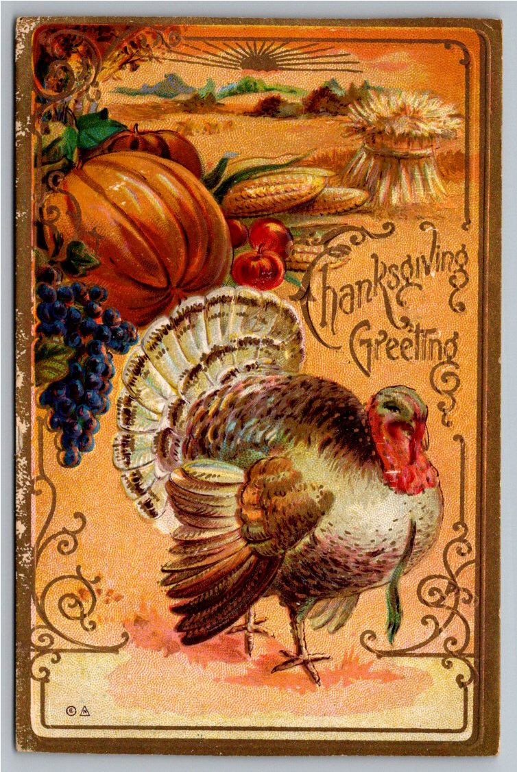 1910 Embossed Thanksgiving Greeting Postcard: Turkey & Harvest