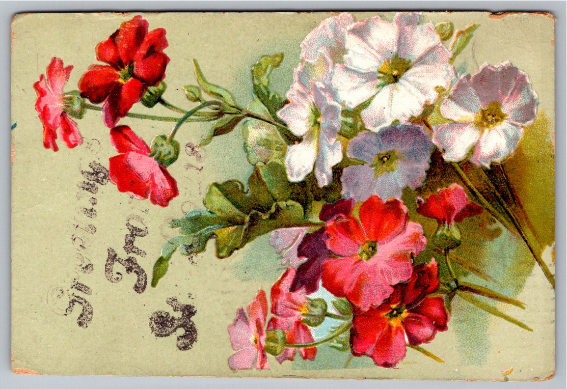 1908 Embossed Primrose Floral Greetings From Missouri Postcard