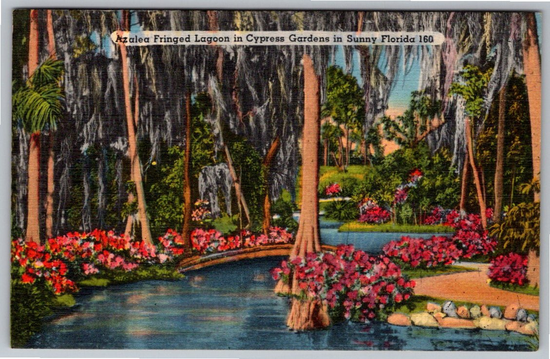 Vintage 1940s Cypress Gardens Azalea Lagoon Florida Linen