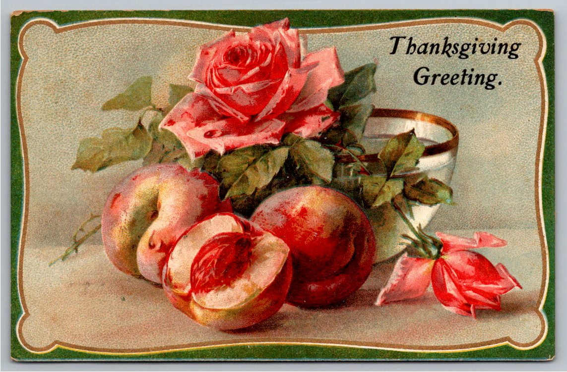 Vintage 1907 Thanksgiving Postcard: Embossed Pink Rose & Peaches