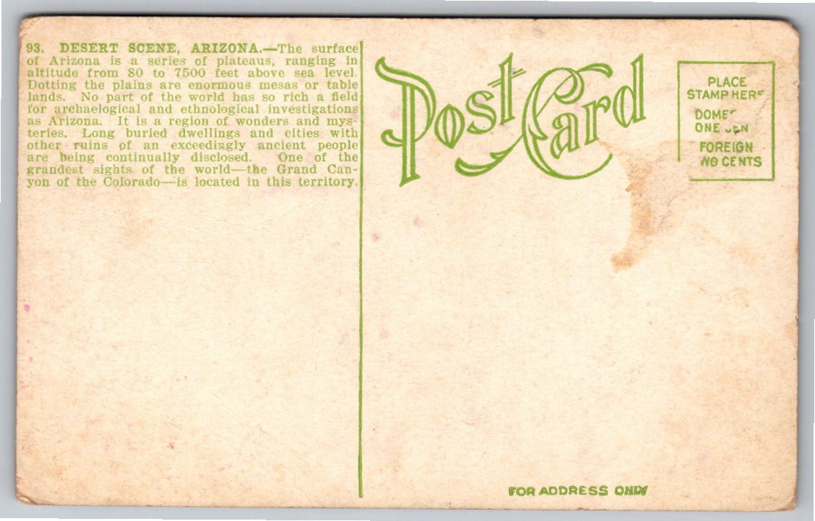 Vintage 1900s Arizona Postcard: Road to Roosevelt Desert Wagon - Back / Reverse View