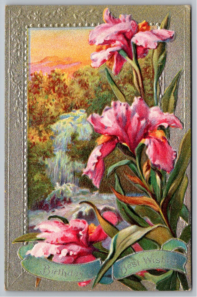 Antique 1909 E. Nash Embossed Iris Waterfall Birthday Postcard