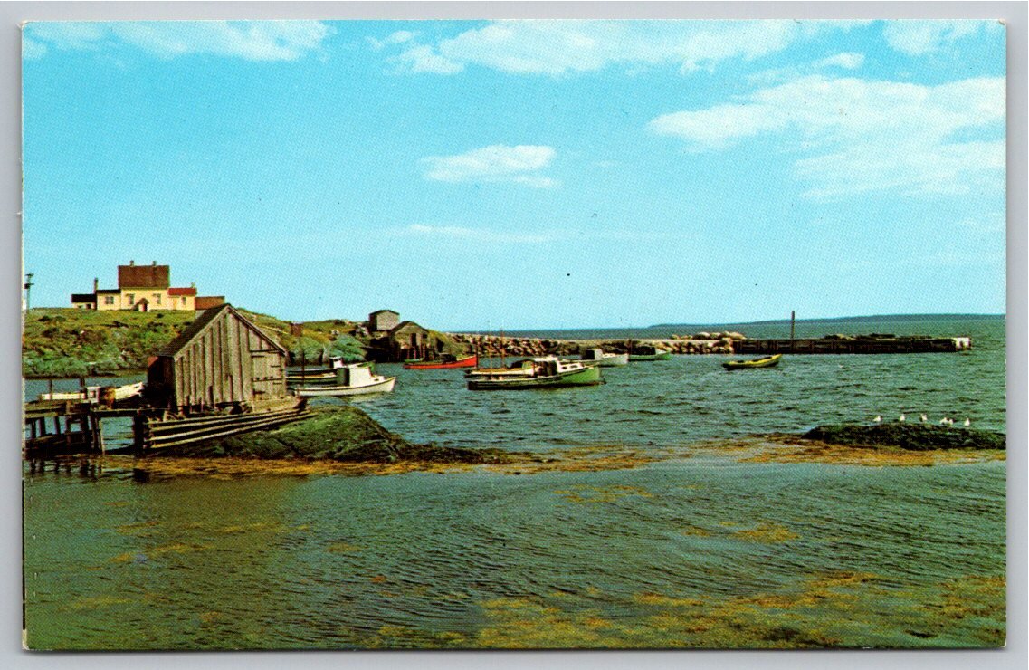 Vintage Blue Rocks Nova Scotia Postcard: Coastal Fishing Village