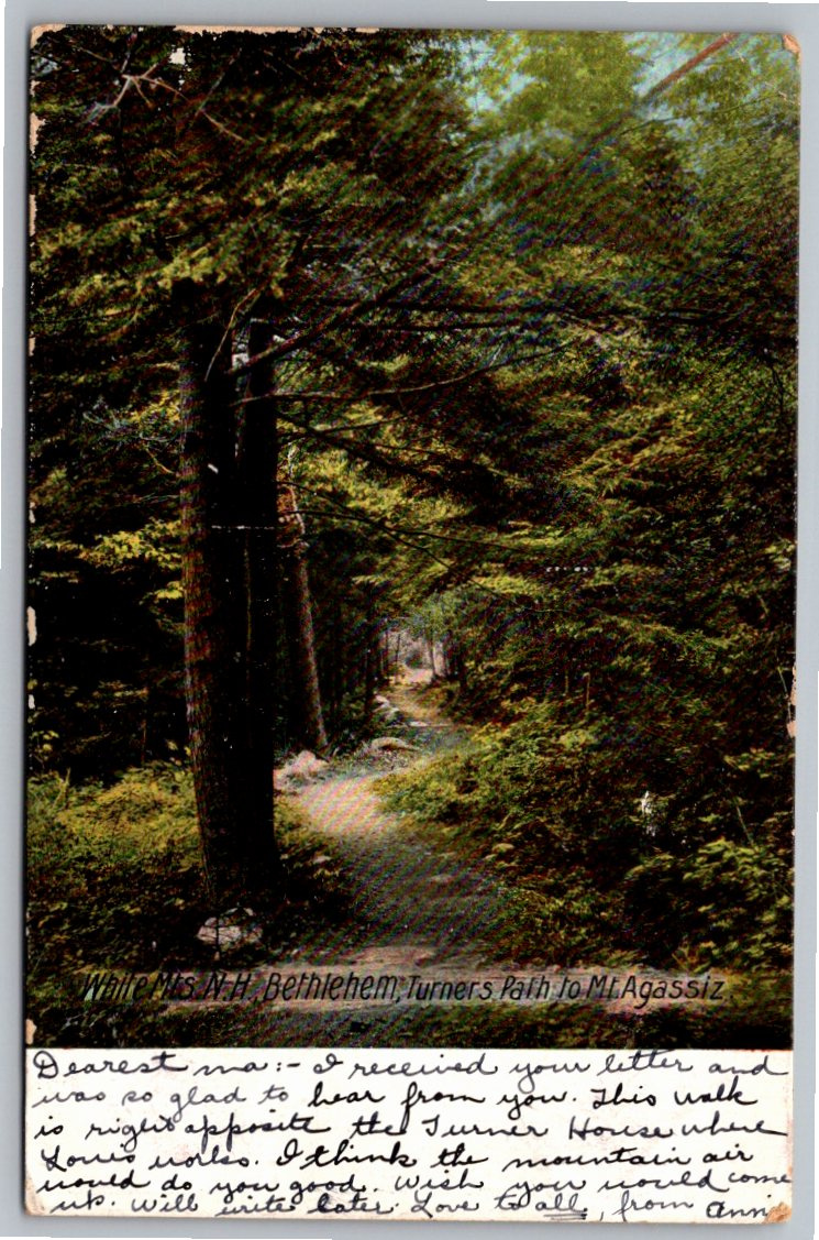 1908 Antique Postcard: Turners Path, Mt. Agassiz, Bethlehem NH