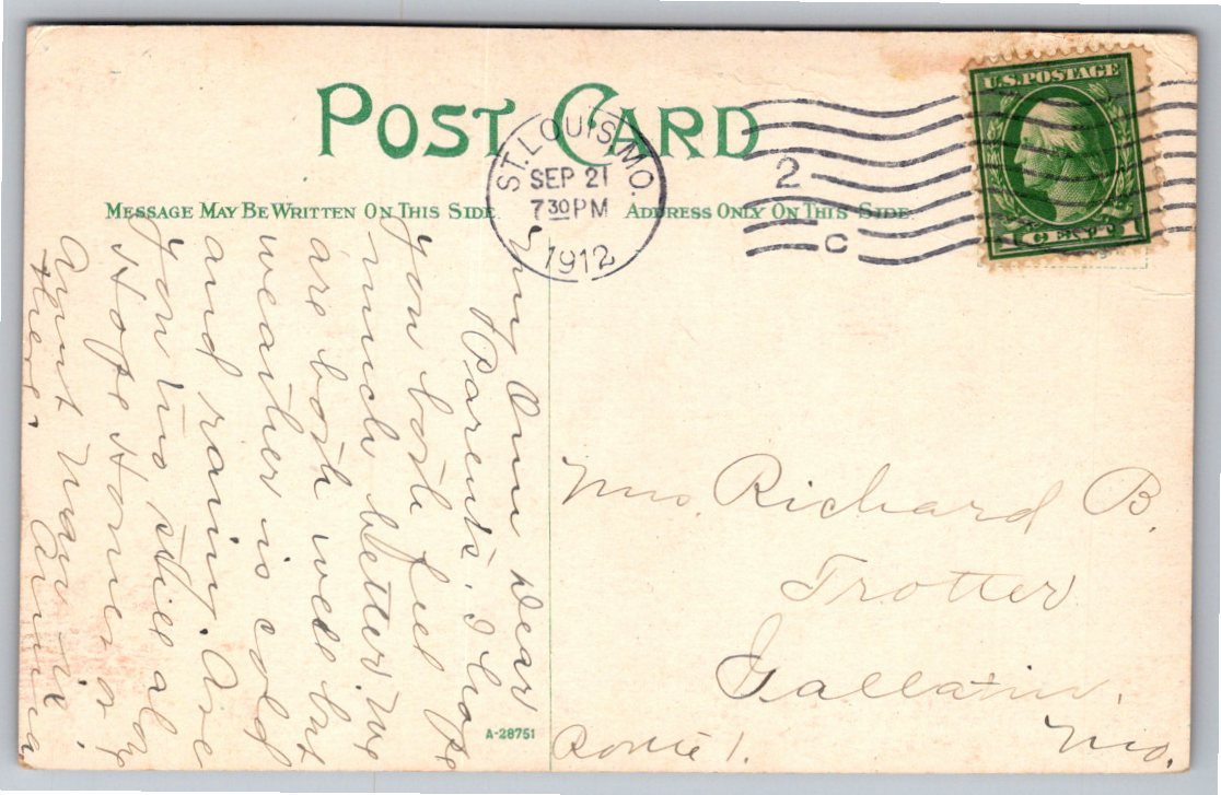 1912 Forest Park St. Louis Giant Water Lily Pond Vintage Postcard - Back / Reverse View