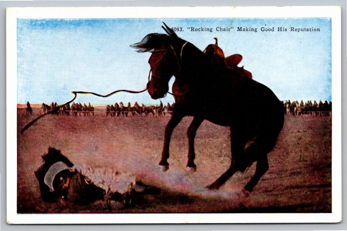 Vintage 1910s Rodeo Postcard: 'Rocking Chair' Bronco Unseats