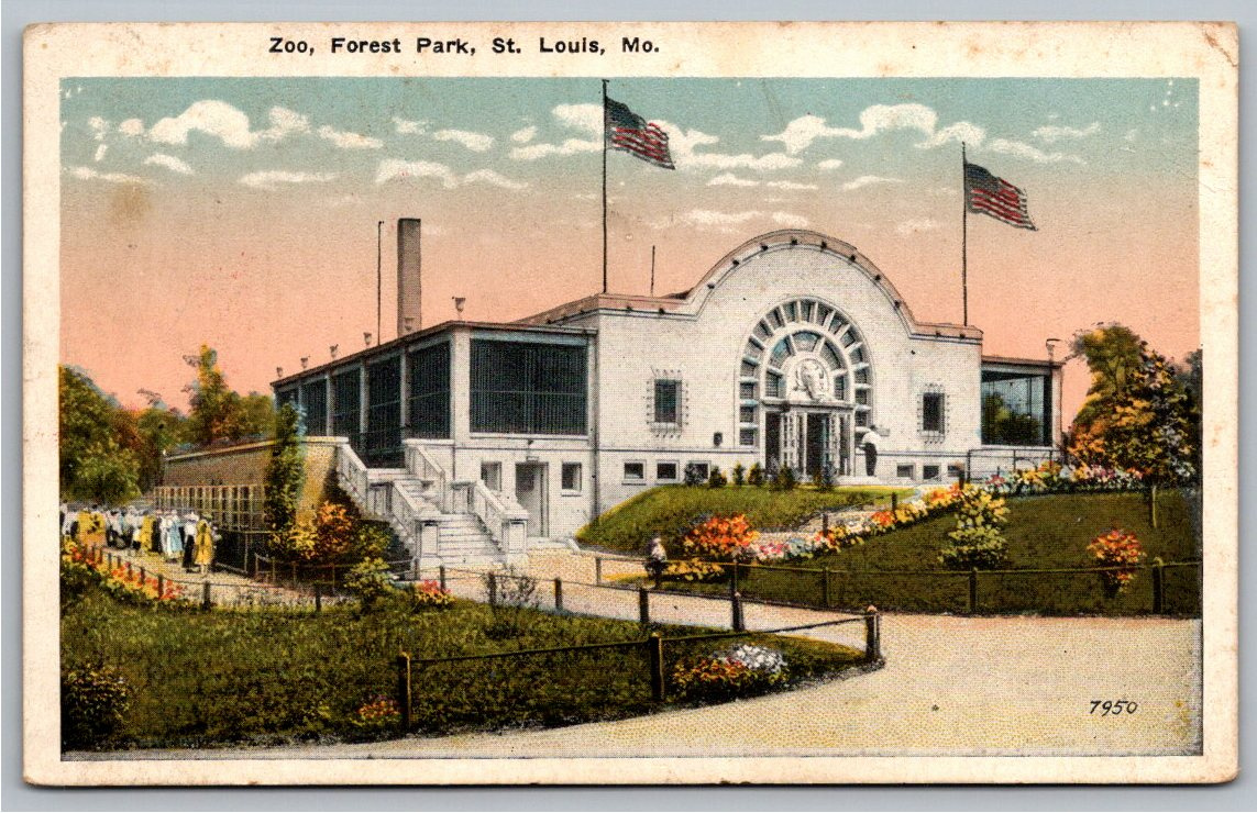 Vintage 1920s St. Louis Zoo Forest Park Postcard | Missouri