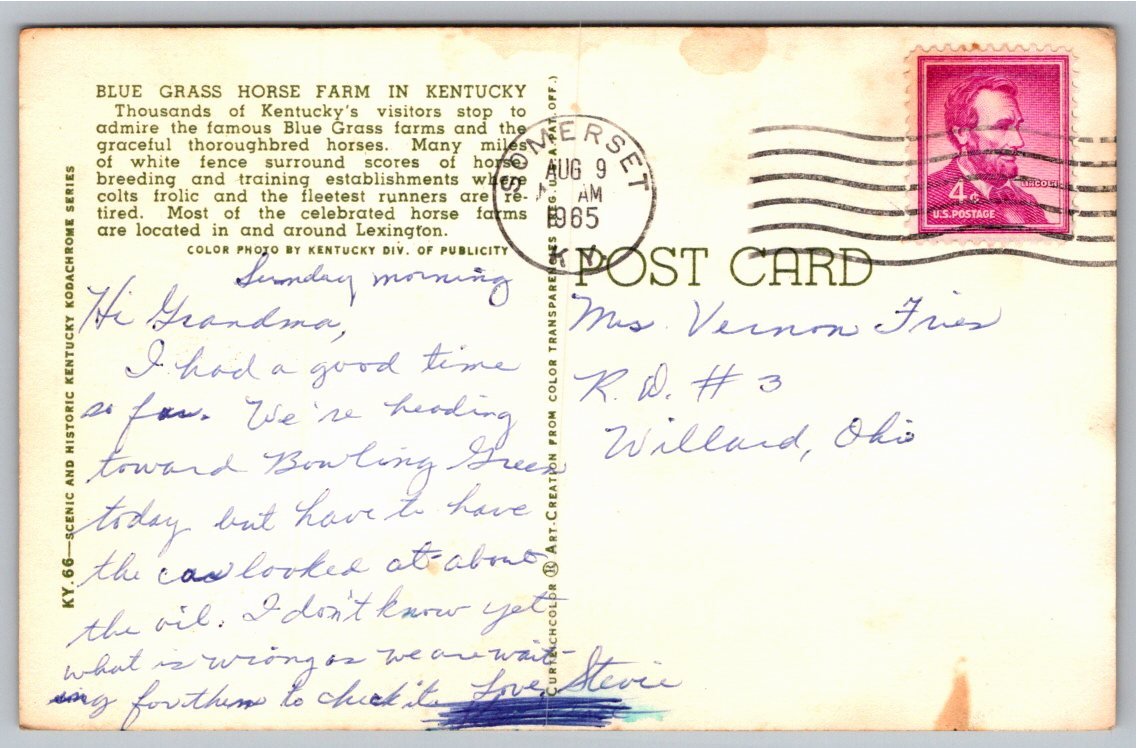 Vintage Blue Grass Kentucky Horse Farm Postcard | Curt Teich - Back / Reverse View