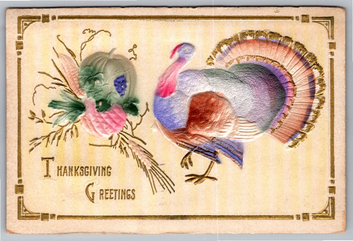 Vintage 1913 Embossed Turkey Thanksgiving Postcard from Wichita