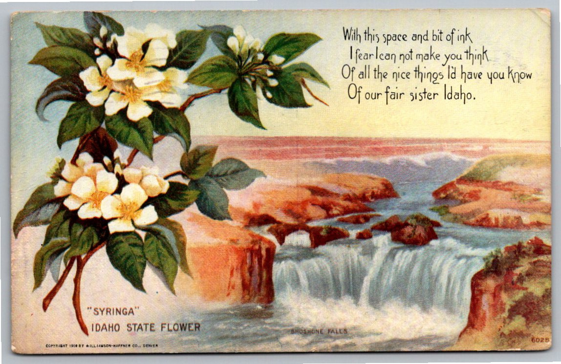 Vintage 1908 Idaho Syringa & Shoshone Falls Lithograph Postcard