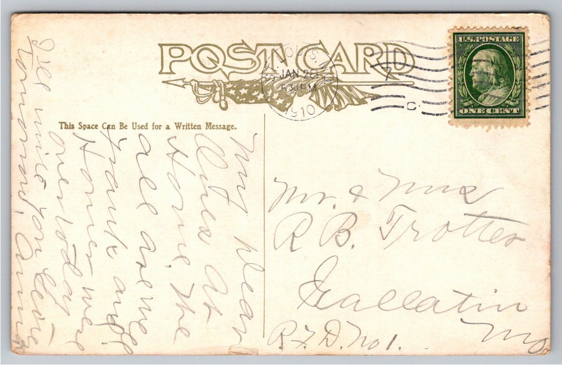 Vintage 1908 Idaho Syringa & Shoshone Falls Lithograph Postcard - Back / Reverse View