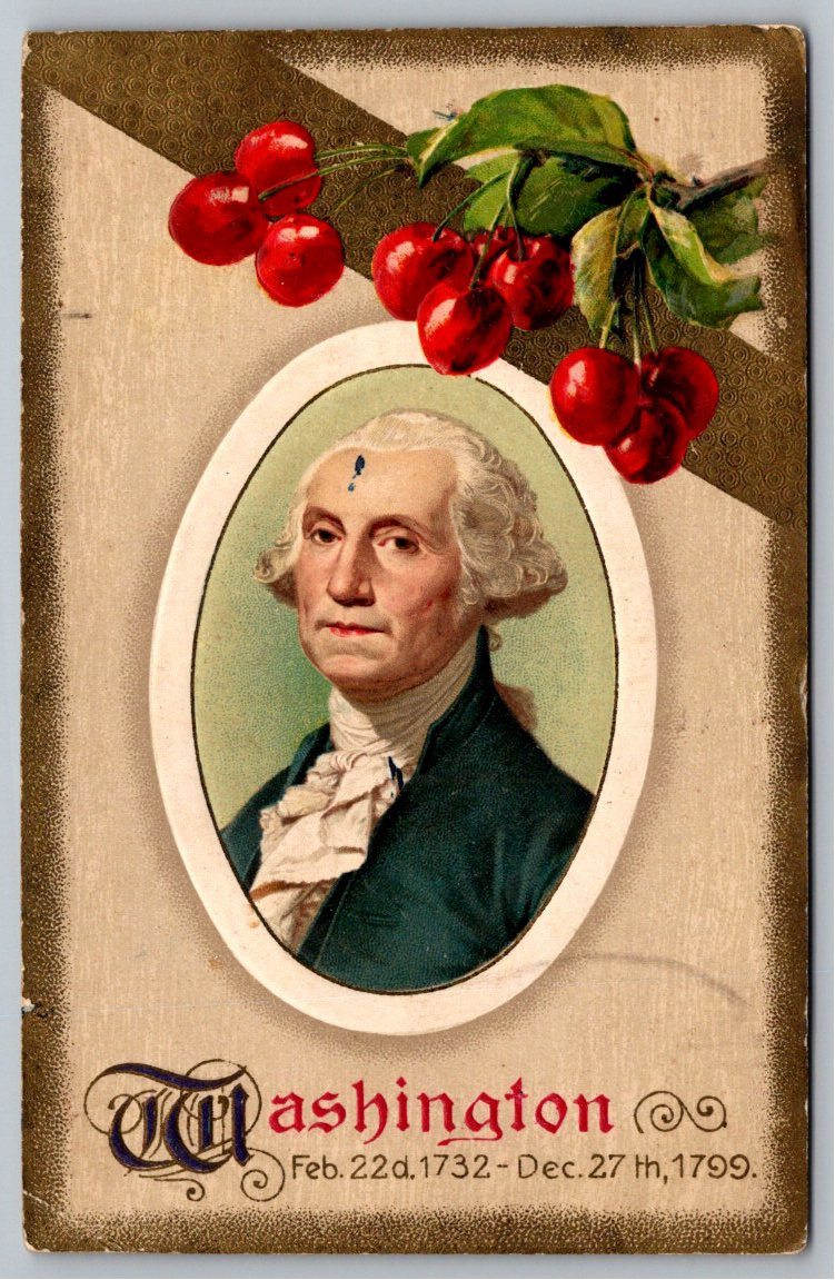 Antique 1910 George Washington Cherry Embossed Postcard