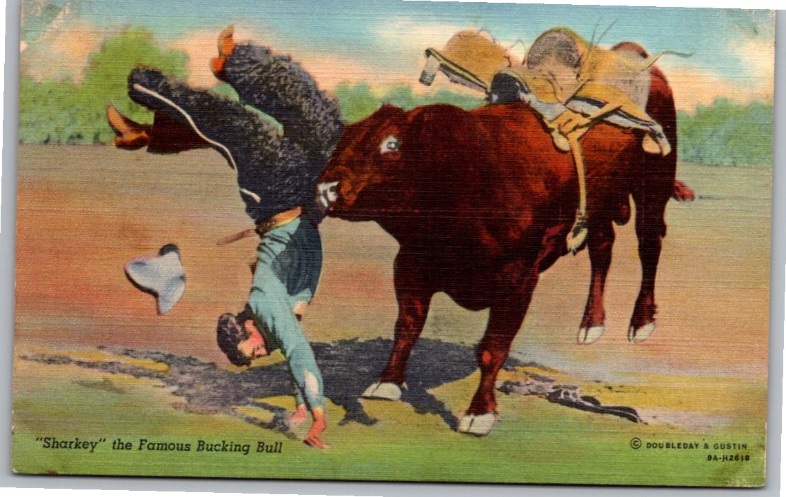 Vintage 1939 'Sharkey' Famous Bucking Bull Western Rodeo Postcard