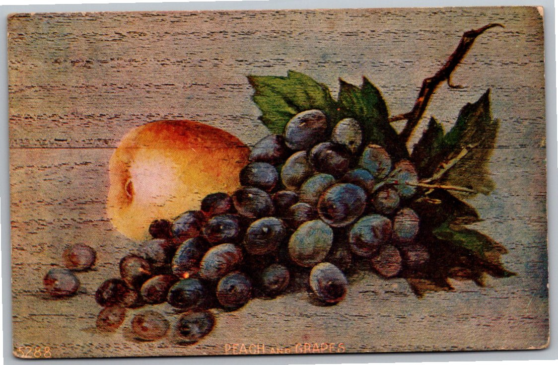 1909 Peach & Grapes Still Life Wood Grain Antique Postcard
