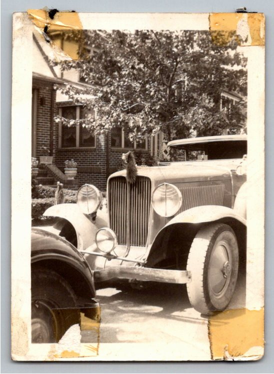 Vintage 1932 Auburn Classic Car Front Grille B&W Photo Snapshot