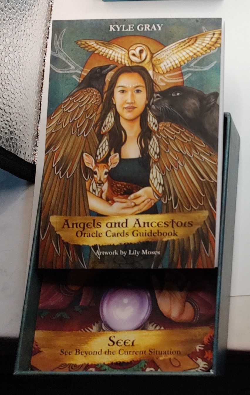 Angels and Ancestors Oracle Deck & Guidebook Set by Kyle Gray - Lot Photo 3