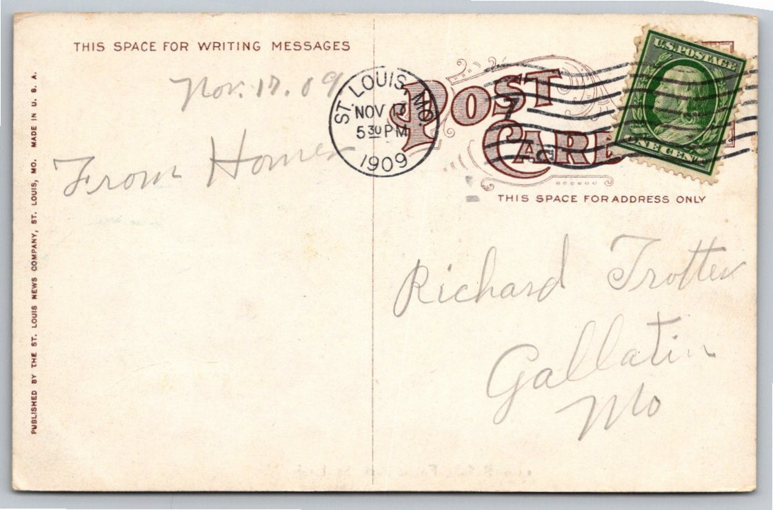 1909 Vintage Buffalo Bison Postcard Forest Park St. Louis, MO - Back / Reverse View