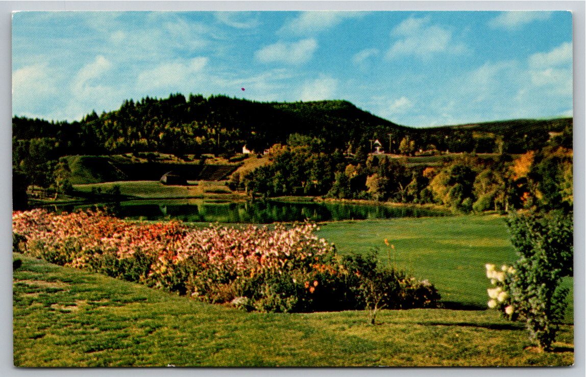 Vintage Fundy National Park Postcard: Alma New Brunswick