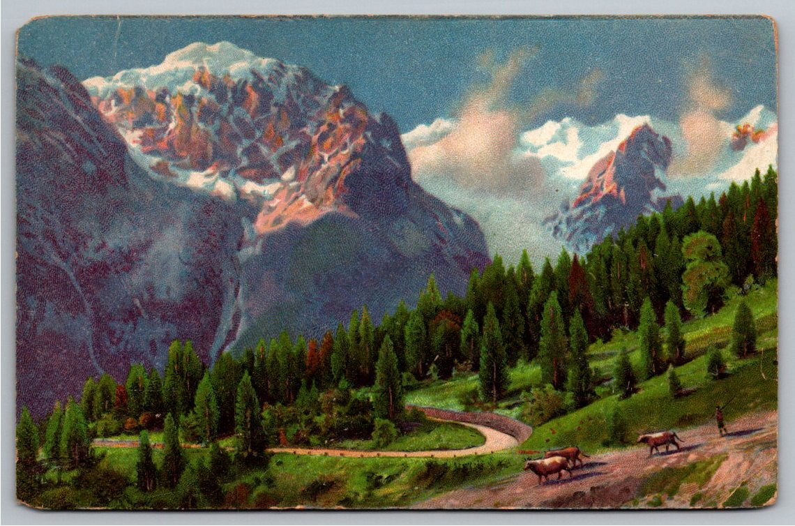 Vintage 1909 Alpine Mountain Road & Cattle Herd Scenic Postcard