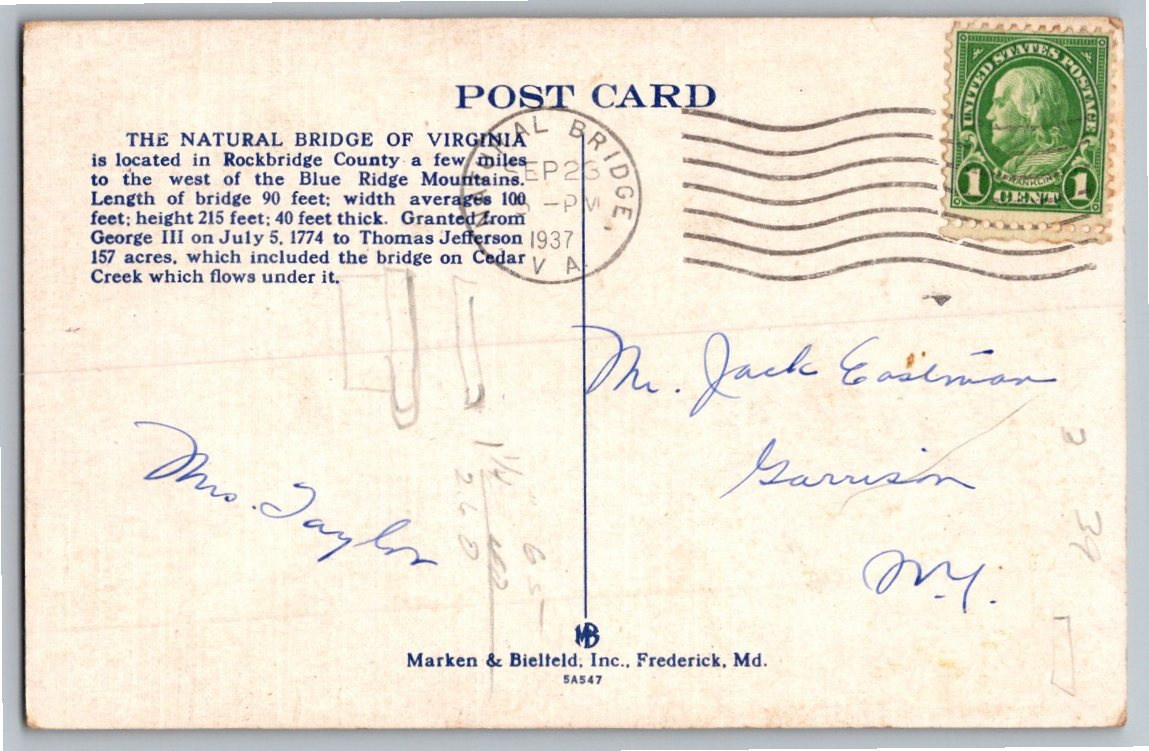 1937 Natural Bridge Virginia 1000 Year Old Arbor-Vitae Tree - Back / Reverse View