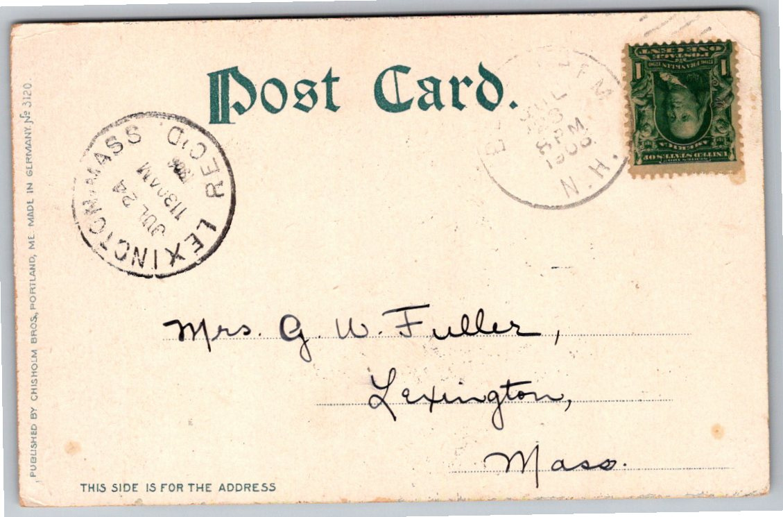 1908 Antique Postcard: Turners Path, Mt. Agassiz, Bethlehem NH - Back / Reverse View