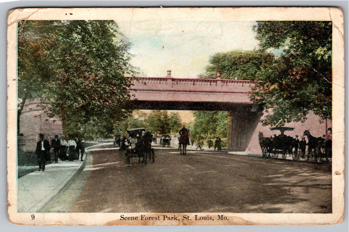 Vintage 1909 St. Louis Forest Park Postcard: Horse-Drawn