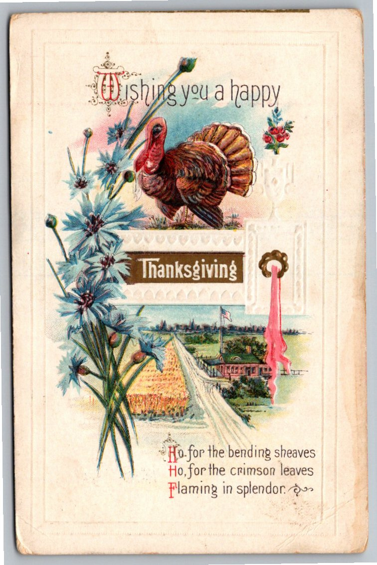 Vintage 1915 Embossed Thanksgiving Postcard with American Flag