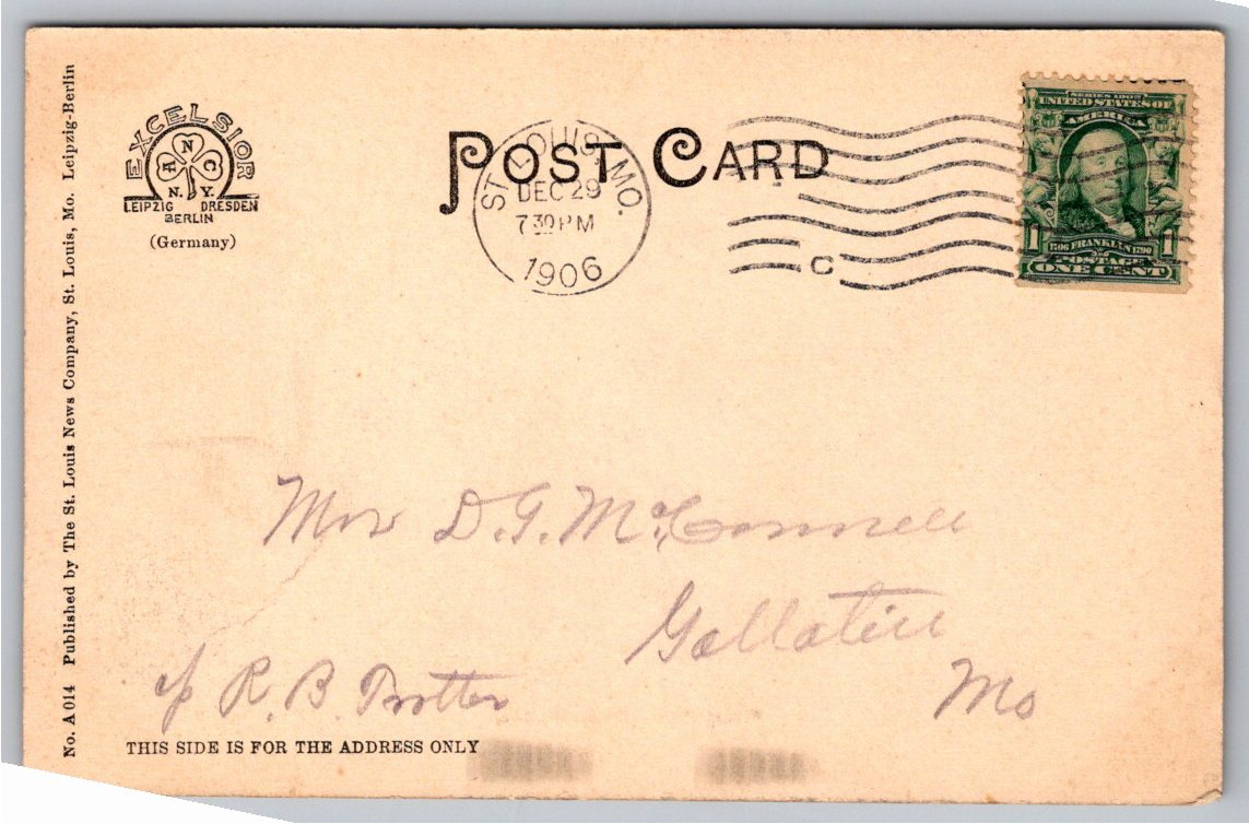 Vintage 1906 Forest Park Birch Trees St. Louis Missouri Postcard - Back / Reverse View
