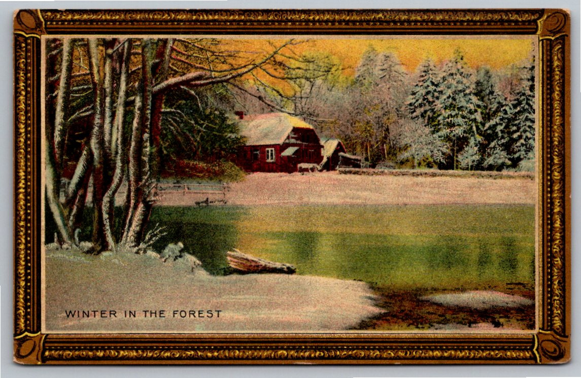 1911 Winter in the Forest Antique Postcard Osawatomie Kansas