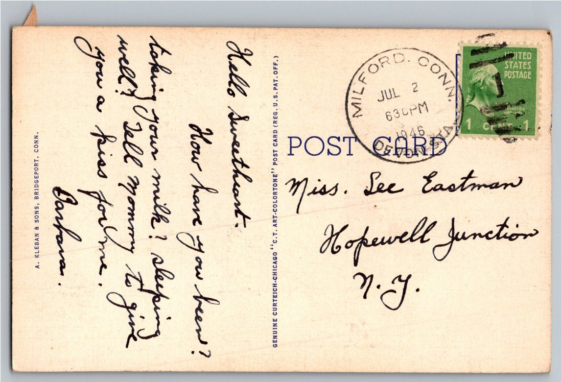 1946 Beardsley Park Zoo Deer Yard Postcard Bridgeport Connecticut - Back / Reverse View