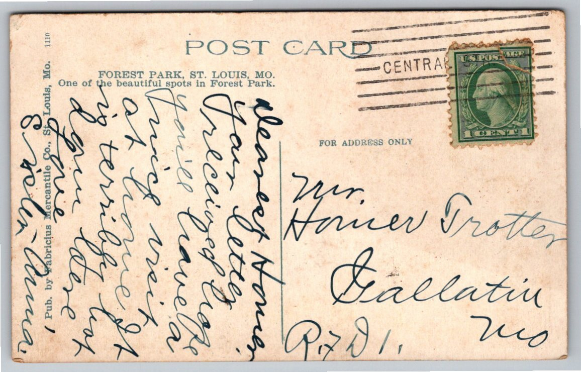 Vintage 1920s St. Louis Zoo Forest Park Postcard | Missouri - Back / Reverse View