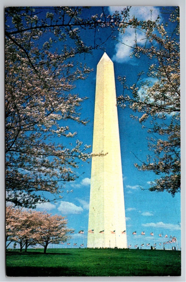 Vintage Washington Monument Cherry Blossom Time D.C. Postcard