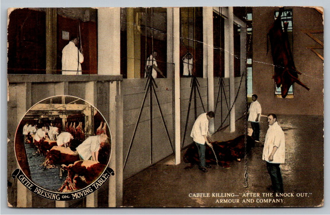 Antique c. 1910s Armour Meat Packing Plant Slaughterhouse