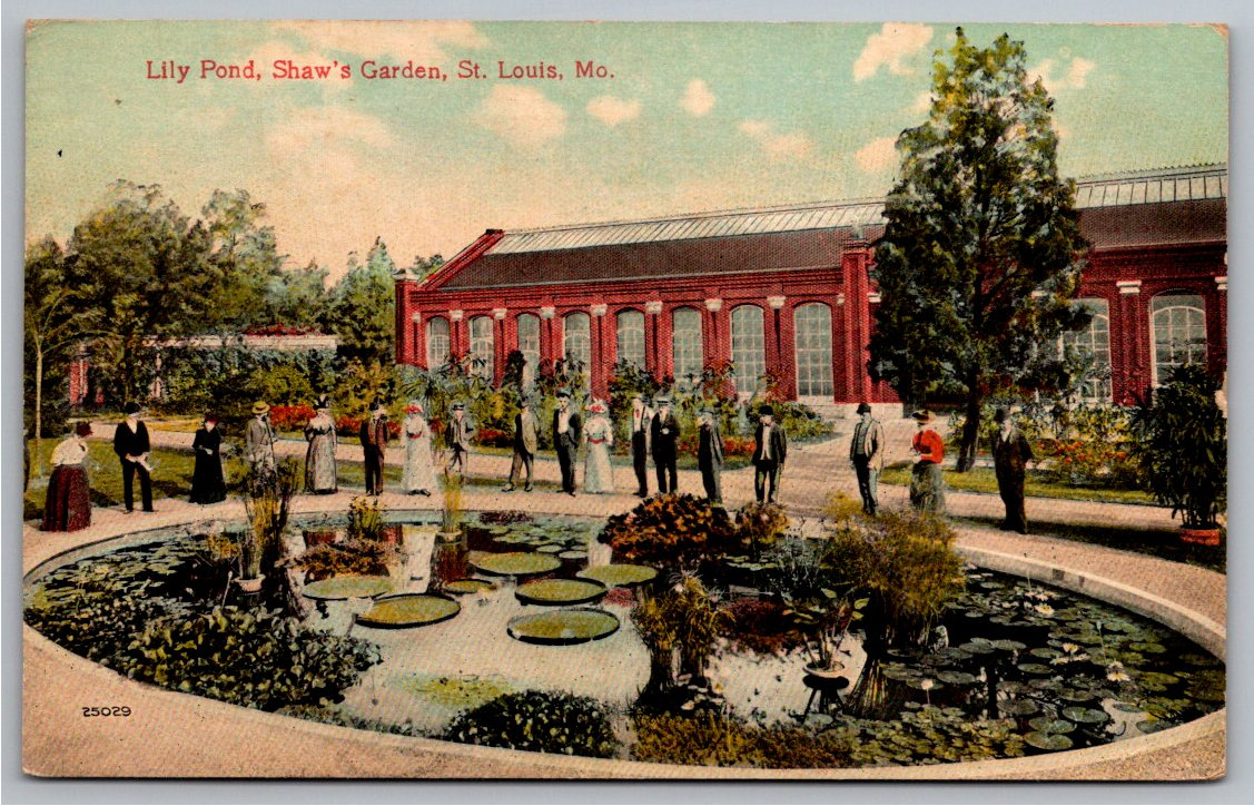 Antique 1912 Postcard: Lily Pond at Shaw's Garden, St. Louis, MO