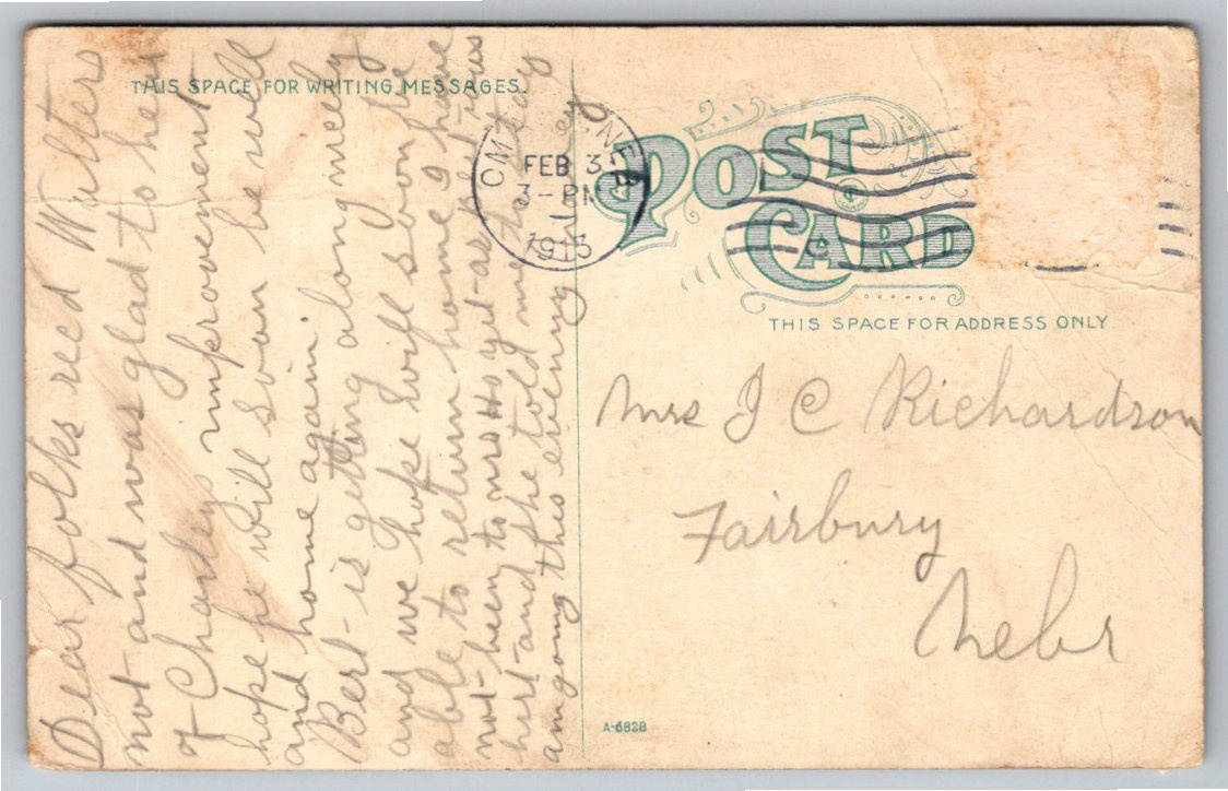1915 Bemis Park Omaha Nebraska Vintage Color Postcard Woman - Back / Reverse View